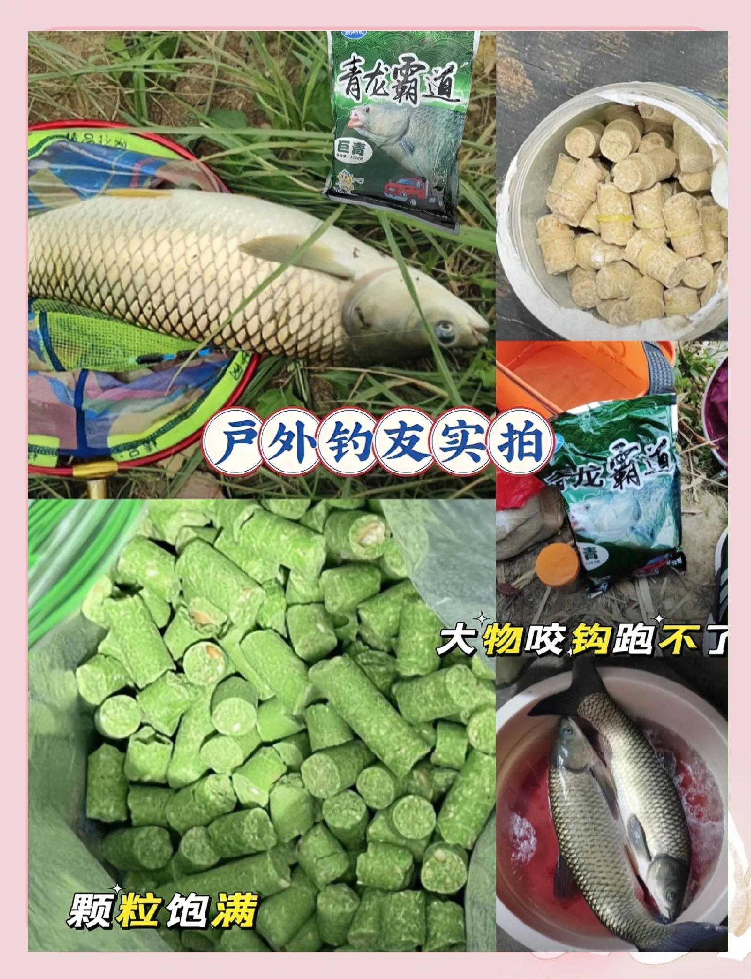 龙王恨功能饵料(龙王恨哪款饵料最好用)