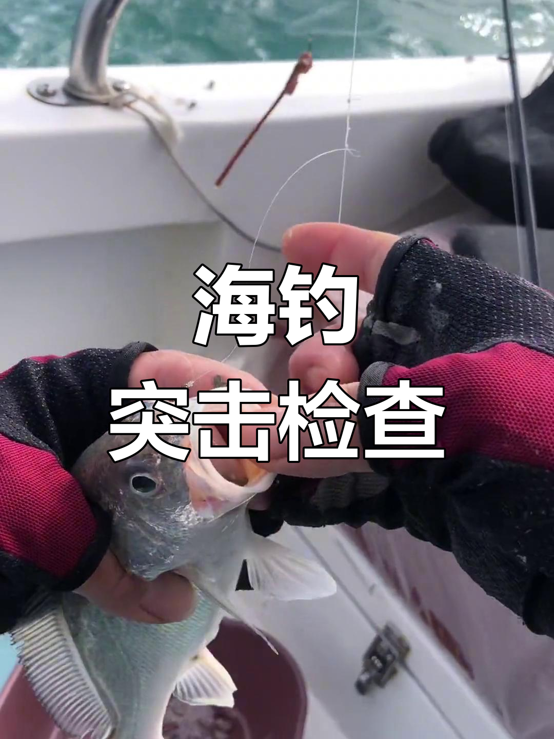 海钓浮钓还是底钓(海钓应该钓底还是钓浮)