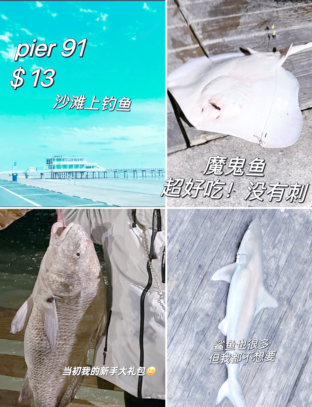 哪里去海钓(去哪里可以海钓)