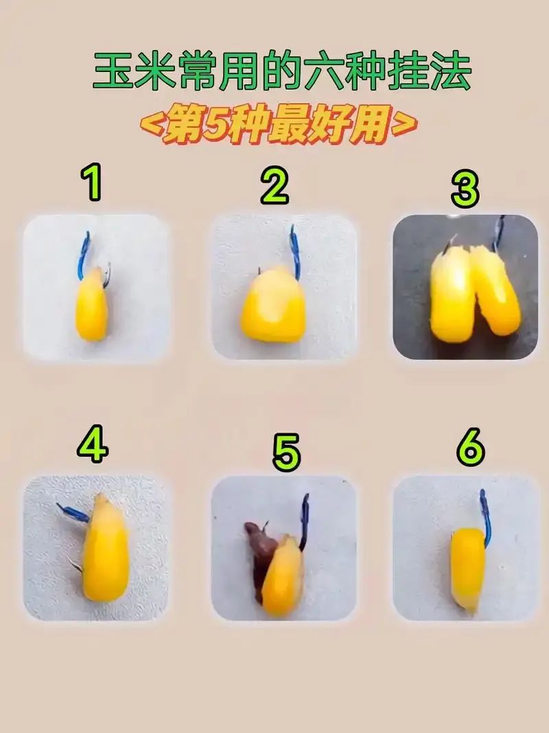 泡玉米饵料配方(怎么样泡制玉米的钓鱼料)