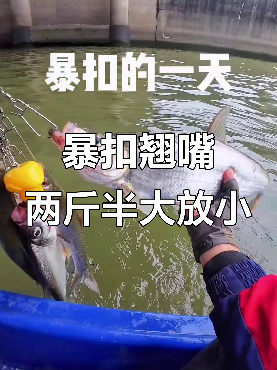 夜晚路翘嘴技巧(夜晚路亚翘嘴的心得战术技巧)