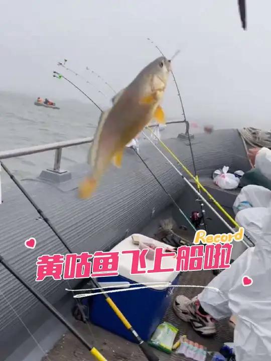 海钓沉底(海钓中的沉底钓法如何做)