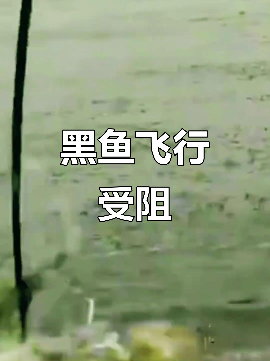 路亚黑鱼总是空军(路亚黑鱼为什么不开口)