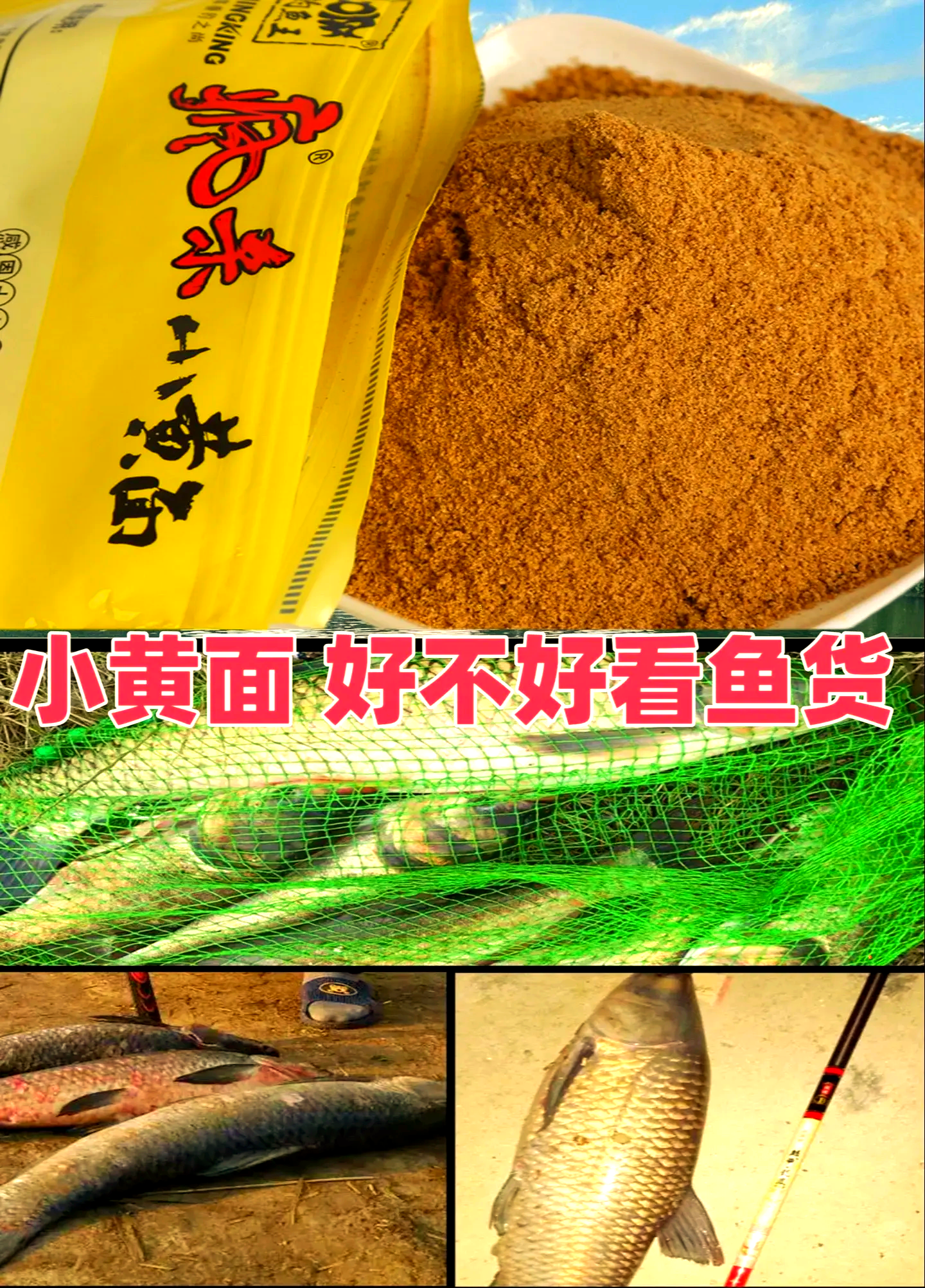 钓鱼王饵料2020(钓鱼王饵料是哪里生产的)