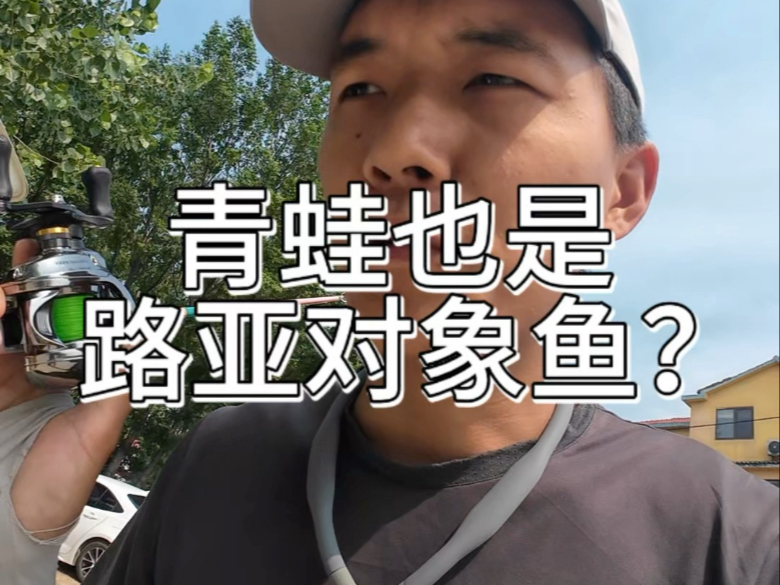 路亚青蛙装钓的简单介绍