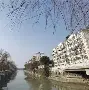 松江老城渔具哪里有(松江哪里有卖鱼的地方)