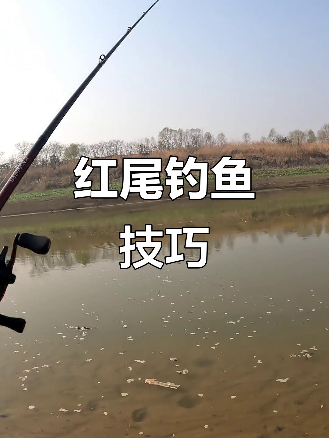 路亚钓法可以钓什么鱼(路亚钓法可以钓什么鱼类)