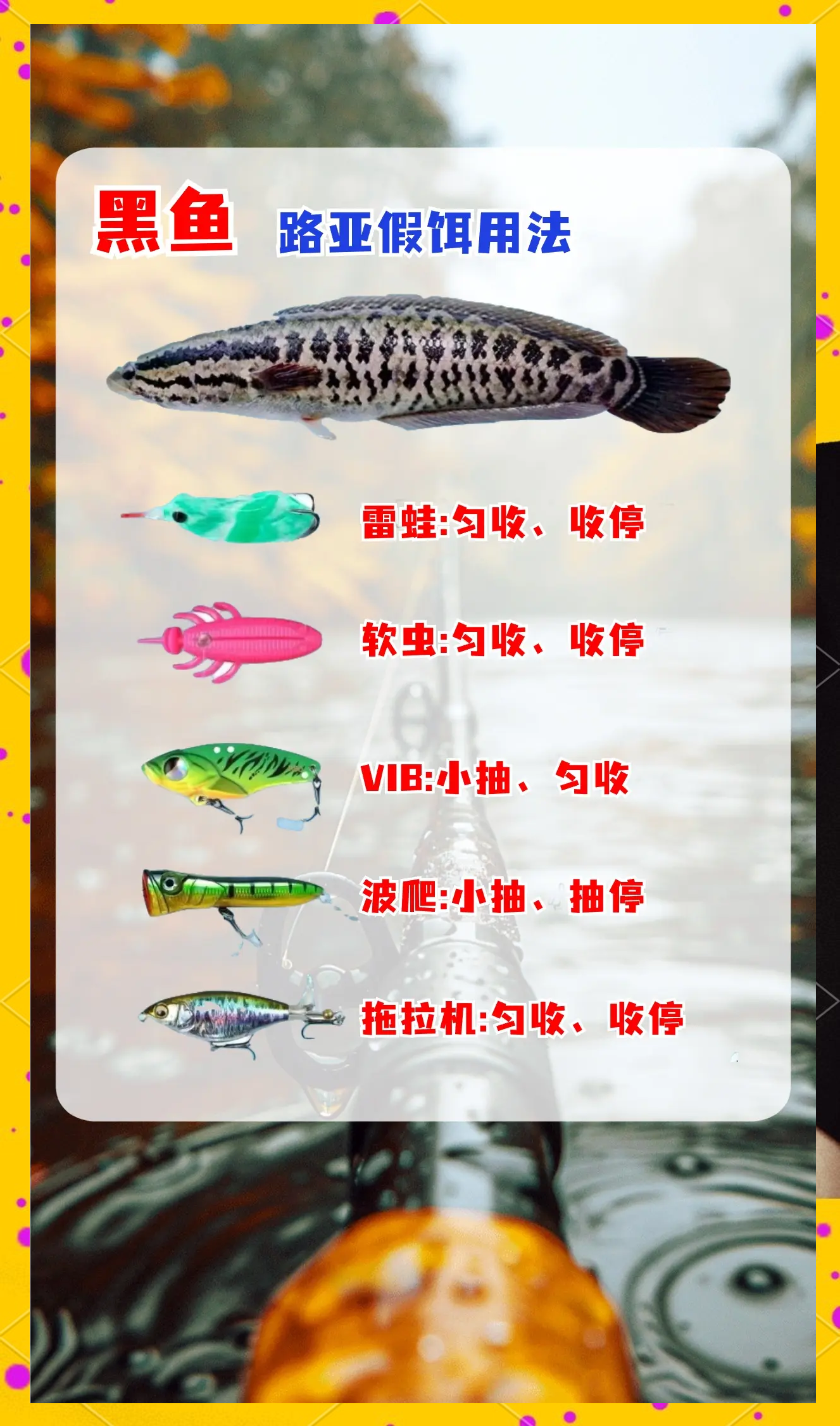 钓鱼打饵料技巧(钓鱼打饵料技巧视频)