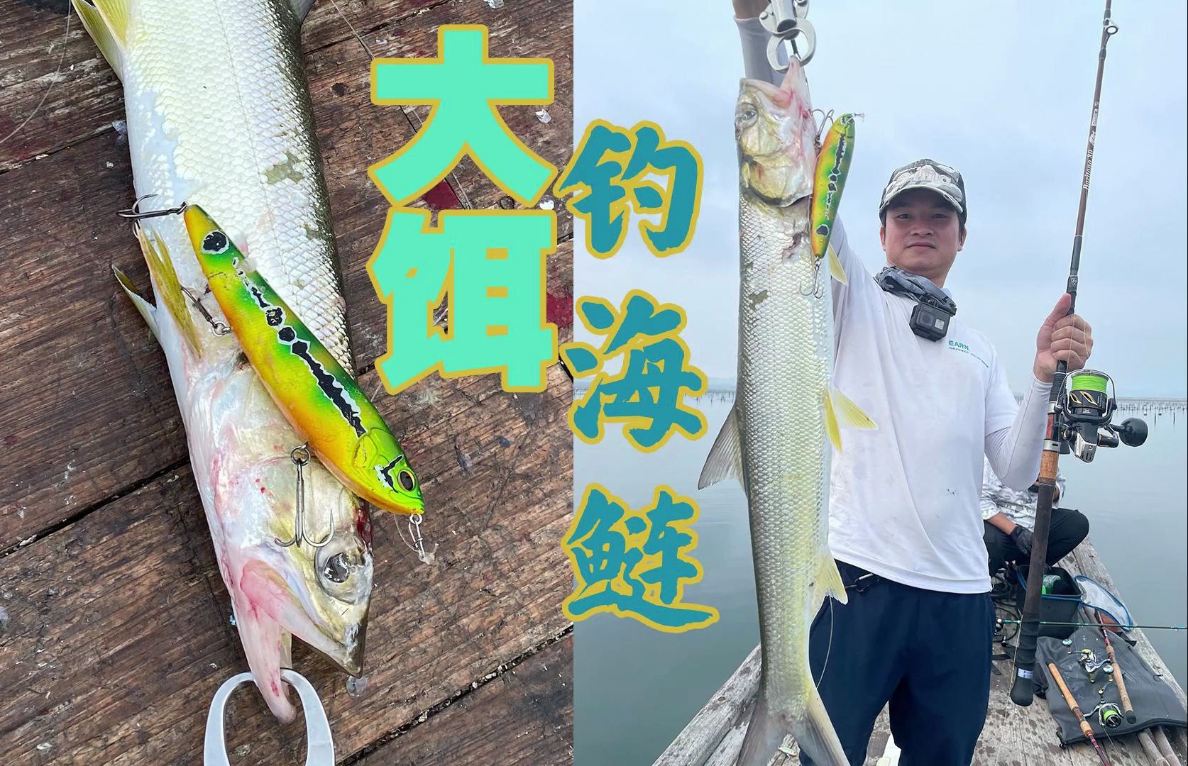 海钓都有哪些鱼(海钓都有哪些鱼类)
