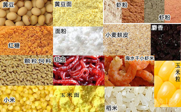秋季丸九鲤鱼饵料配方(秋季丸九鲫鱼饵料经典配方)