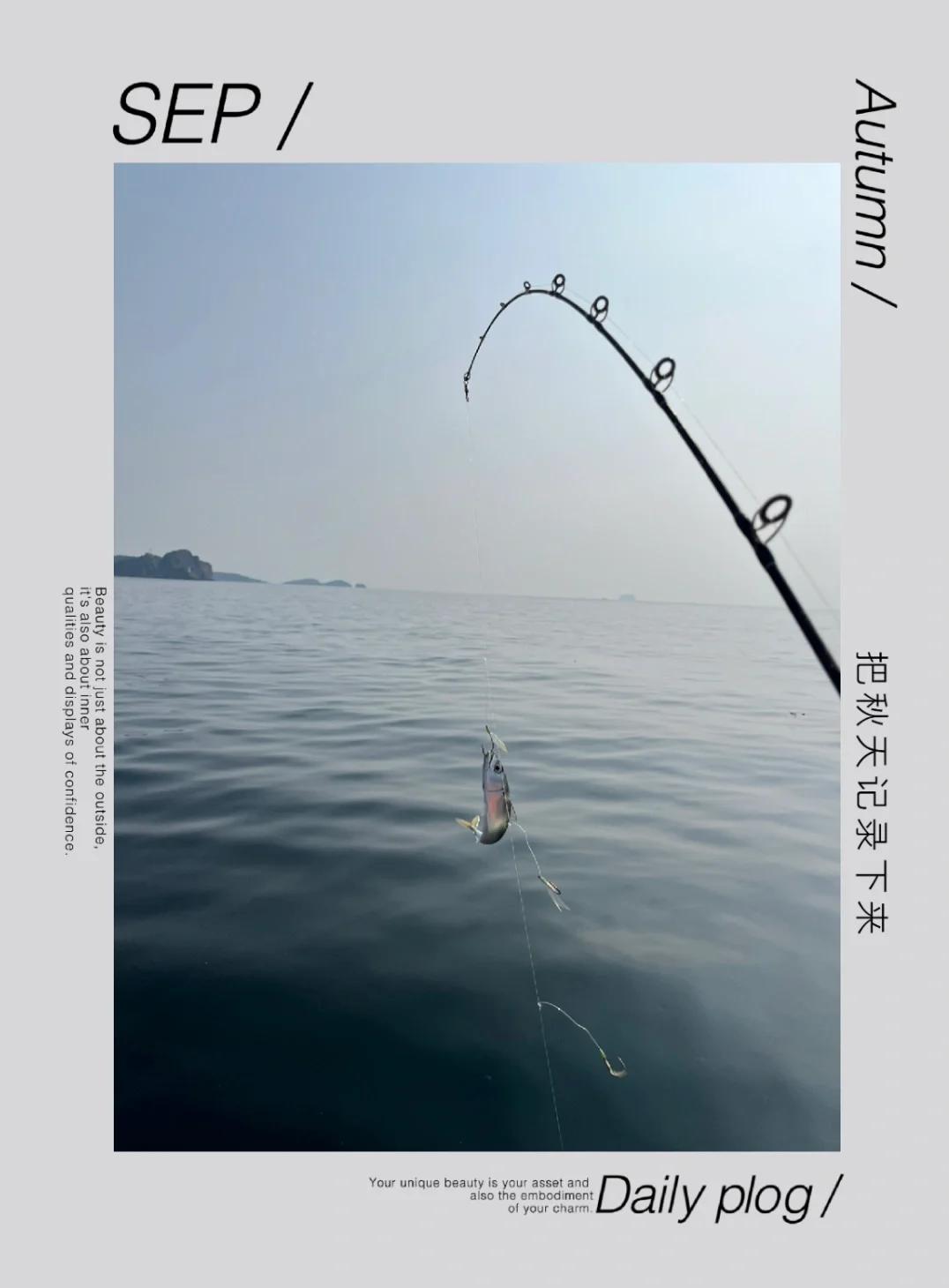 钓巴鱼技巧(钓巴浪鱼技巧)