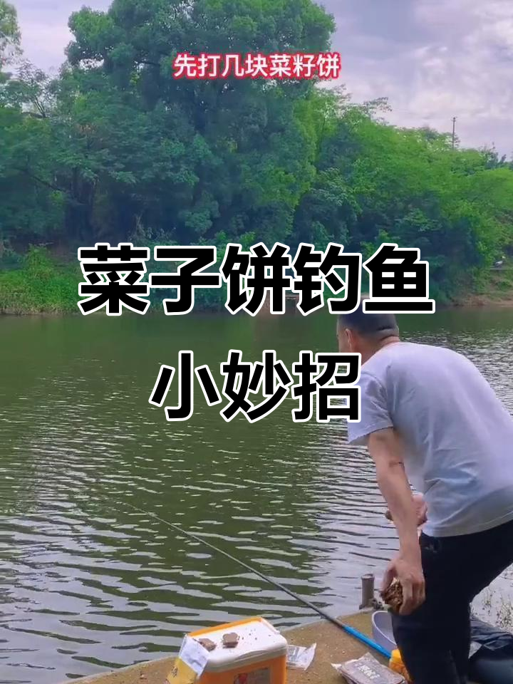 草鱼打窝技巧(野钓草鱼打窝技巧)