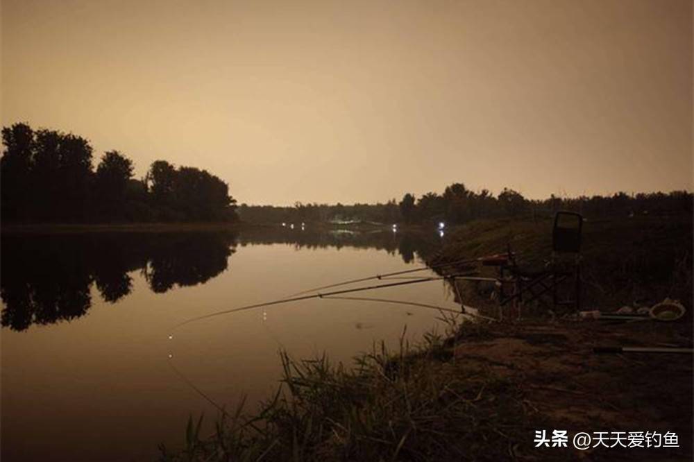 盛夏夜钓技巧(夏季夜钓技巧全攻略)