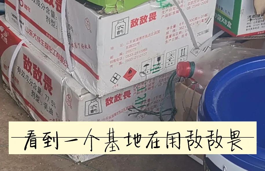 饵料里面加敌敌畏(饵料里面加敌敌畏可以吗)