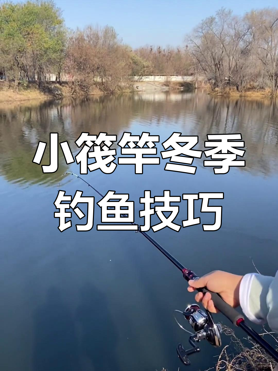 钓鱼长竿抛投技巧(钓鱼长竿抛投技巧和方法)