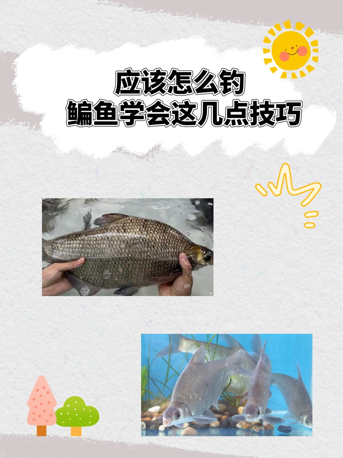 钓鱼天气饵料怎么用(钓鱼天气饵料怎么用的)