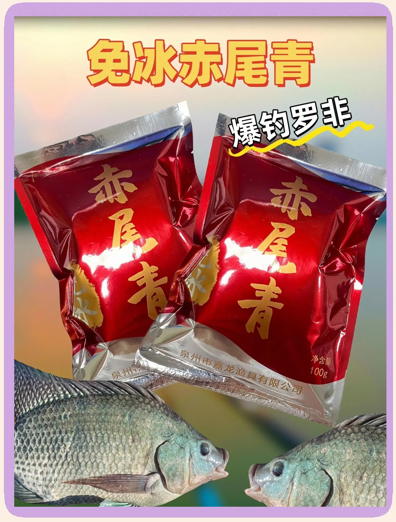 钓罗非鱼常用饵料(钓罗非鱼用什么诱饵)