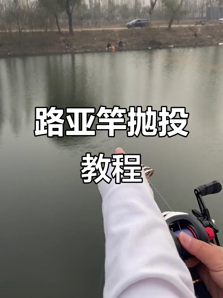 台钓抛投技巧视频(台钓怎么抛的精准?)