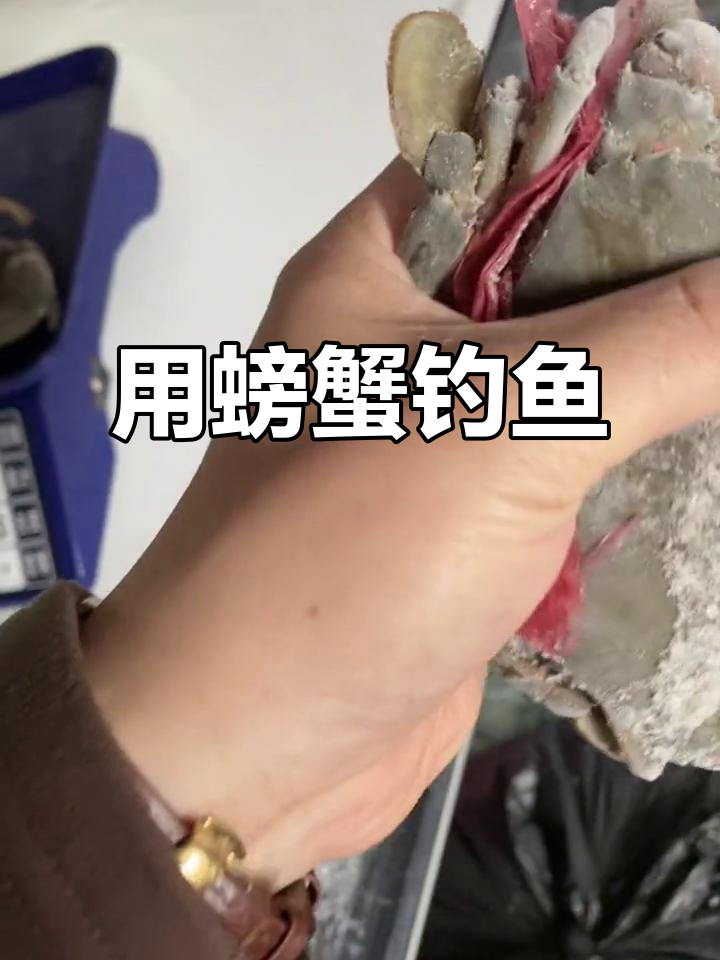 夜钓螃蟹技巧(晚上钓螃蟹应该选什么钓位)