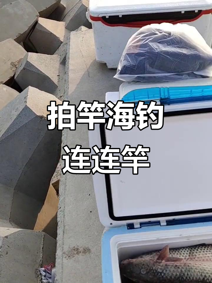 海钓拍杆钓梭鱼(海钓梭鱼的拍杆儿钓组)