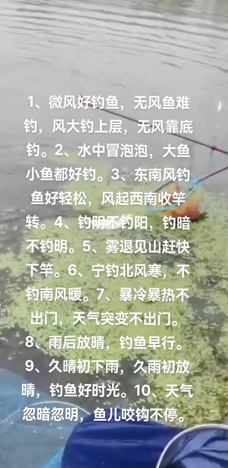 海钓谚语(海钓顺口溜)