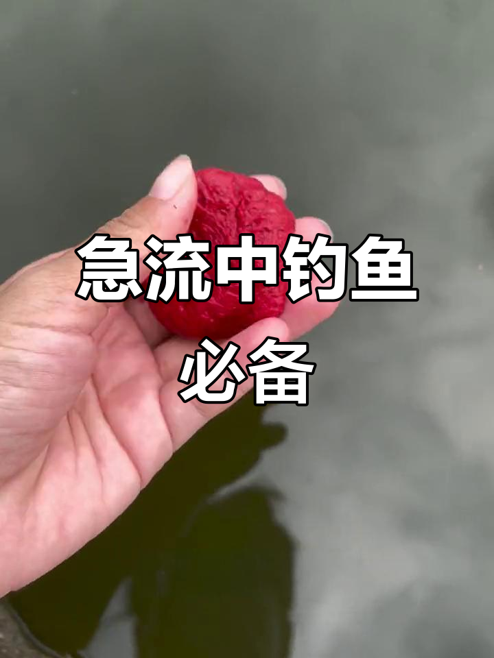 专钓马口饵料(钓马口饵料配方)