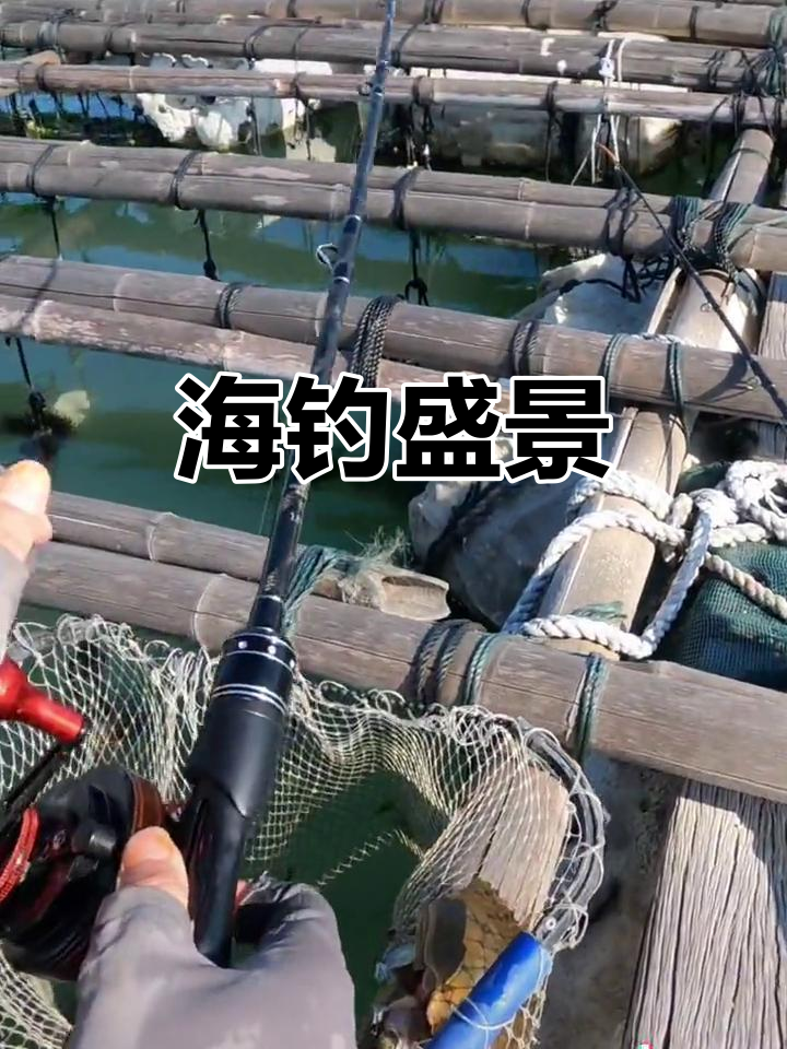 曹妃甸冬季海钓(曹妃甸海钓几月份可以钓鱼)