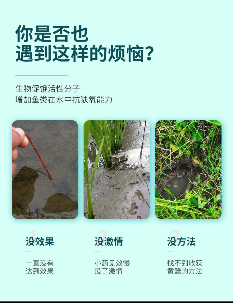 抓泥鳅用什么饵料(捉泥鳅用什么药最好)