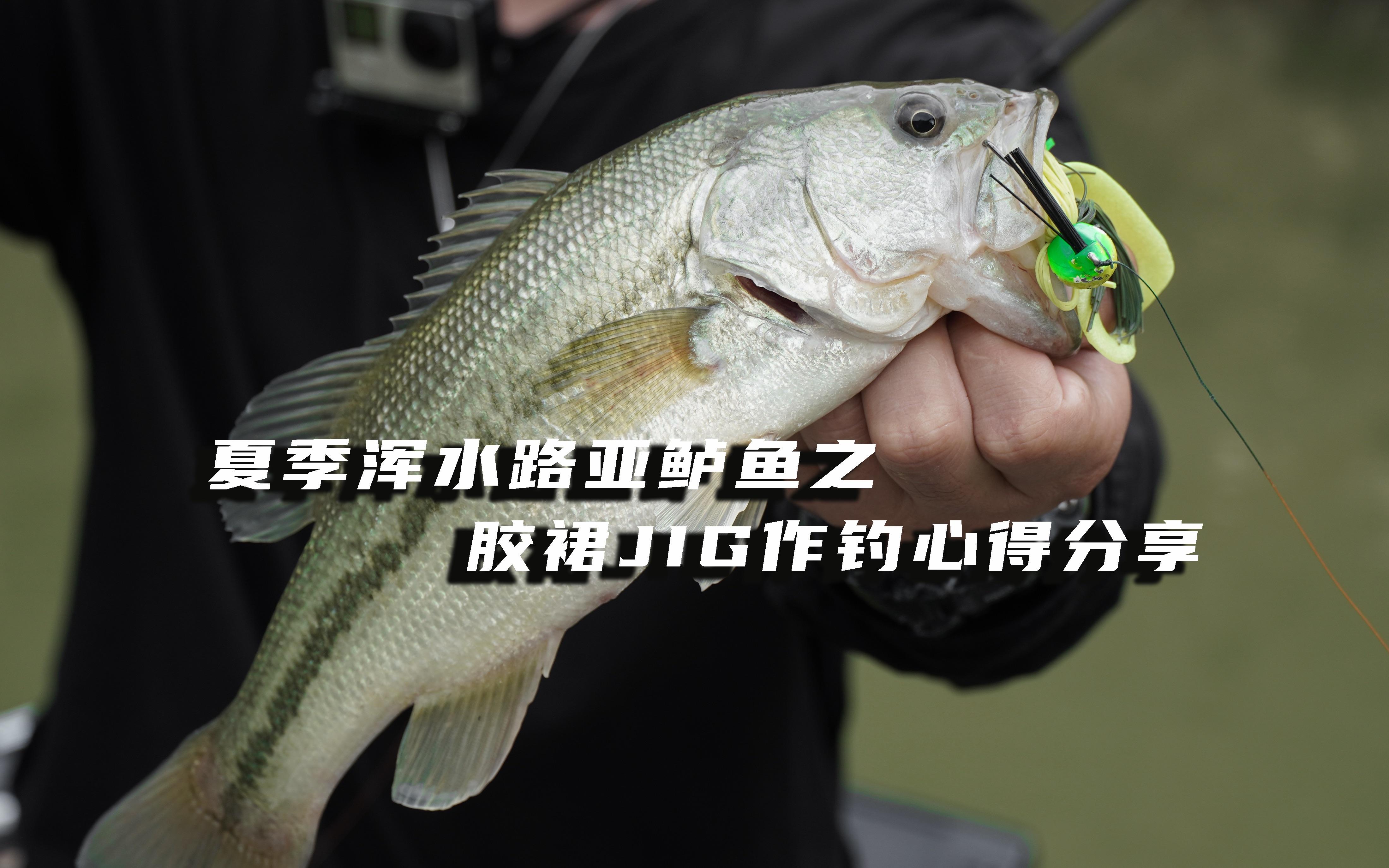 路亚jig(路亚假饵可以过安检吗)