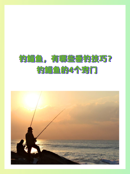 垂钓近岸的技巧(垂钓近岸的技巧和方法)
