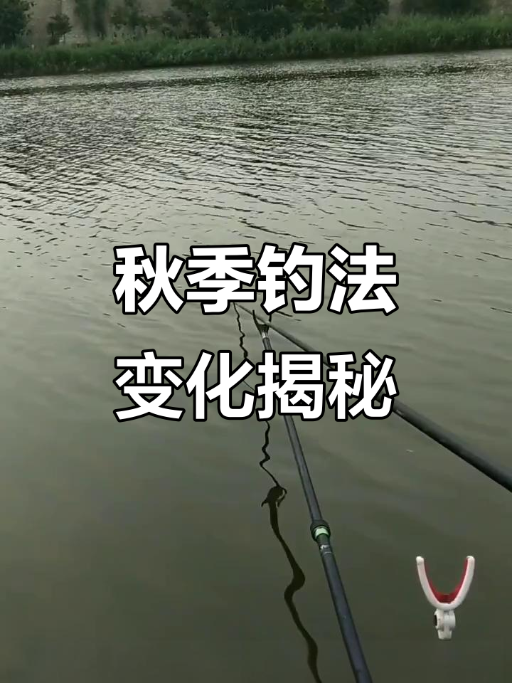 秋天钓鱼技巧大全(秋季钓鱼技巧_钓鱼人必看)