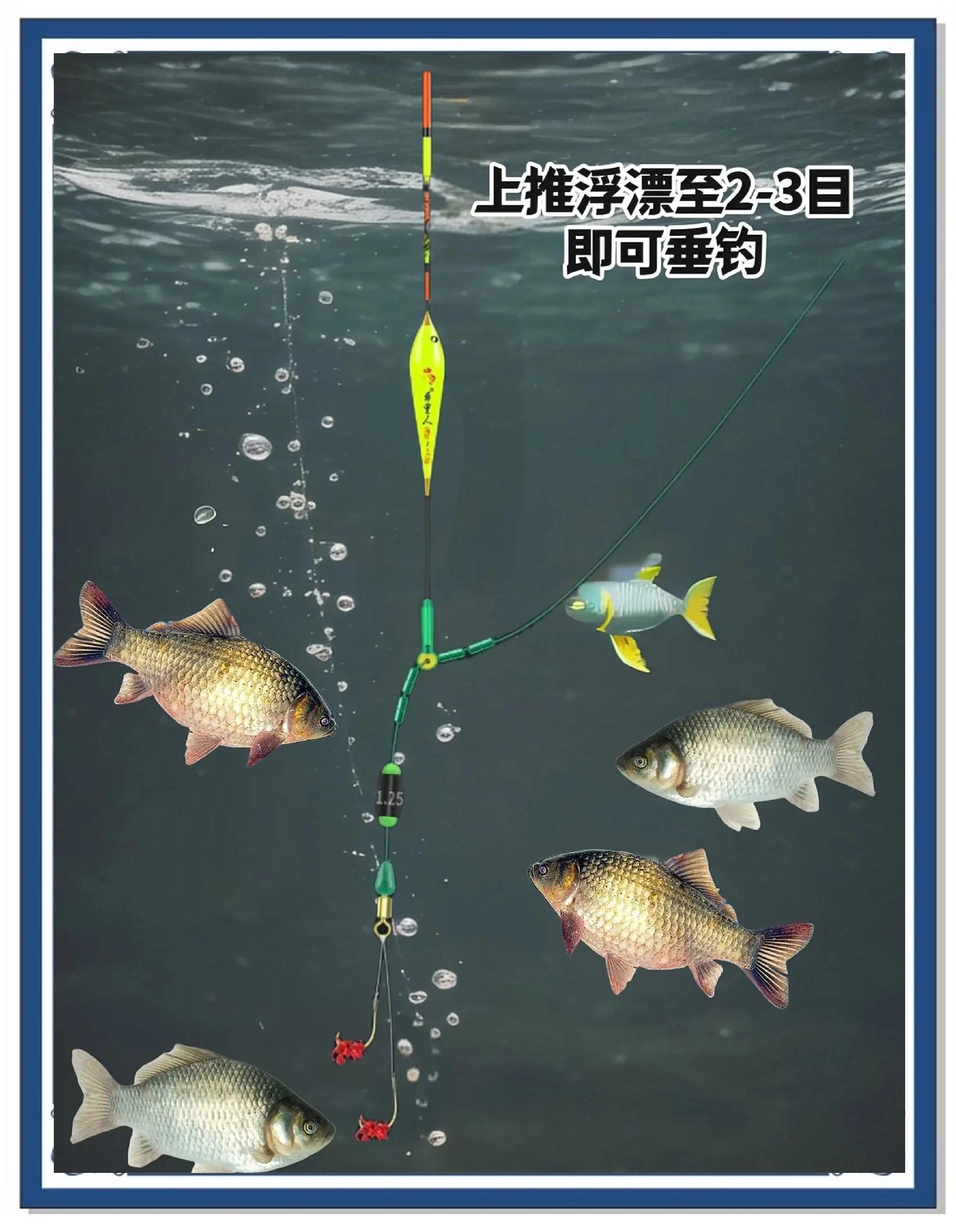 海钓可以用双钩吗(海钓用单钩还是串钩)