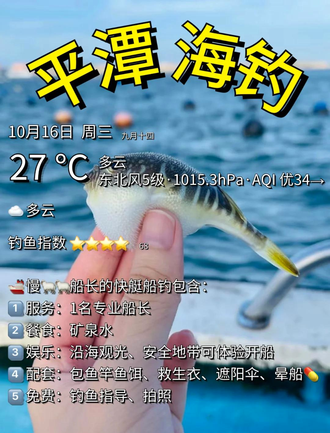 海钓天气的选择(钓海鱼的天气预报)