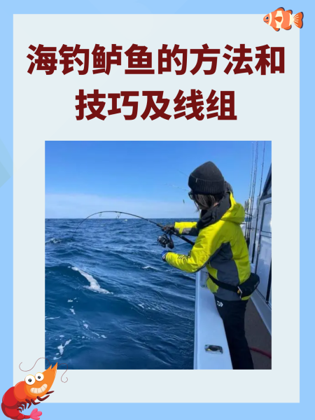 海钓底钓线组(海钓底钓线组图解)
