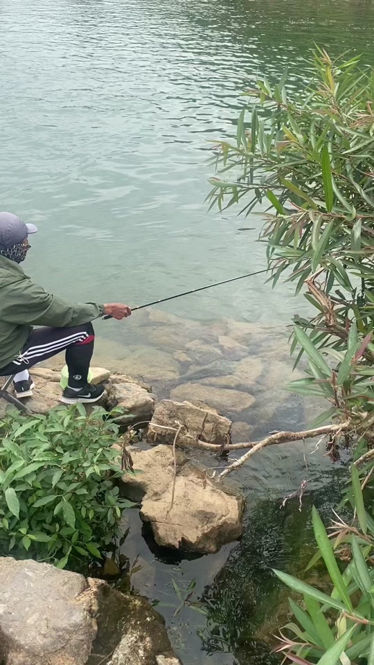 西双版纳勐海钓鱼(勐海县城附近钓鱼的地方)