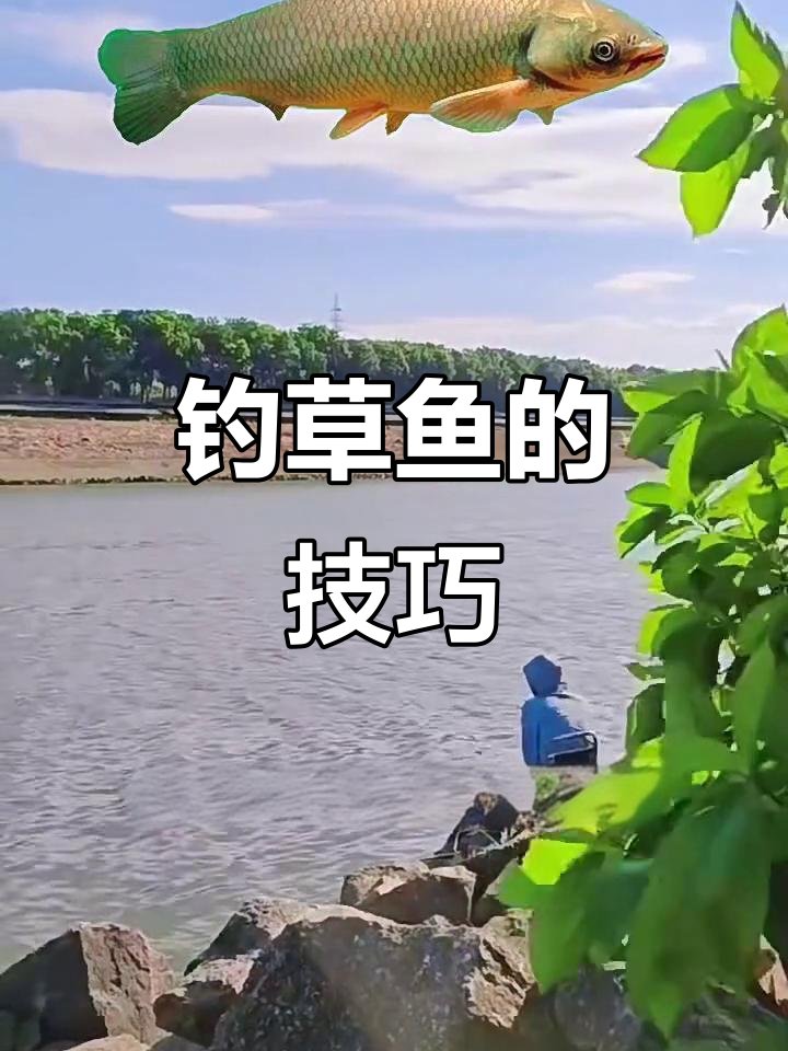 流水钓草鱼技巧(流水钓草鱼钓浮还是钓底)