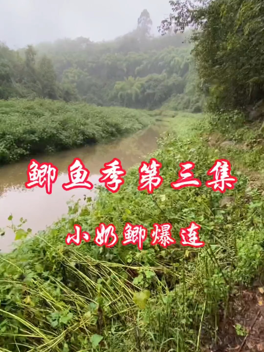 野外手杆垂钓鲫鱼技巧(野外钓鲫鱼应该注意什么)