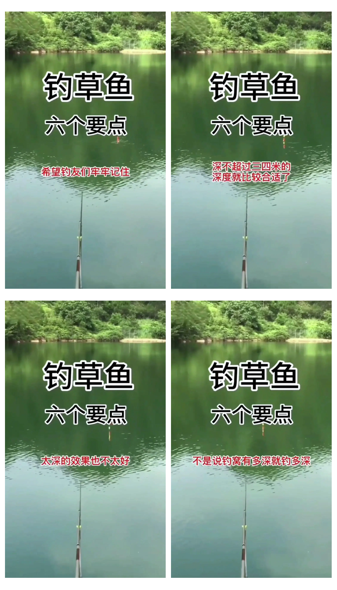 冬季混养钓草鱼技巧(冬天钓混养塘用什么饵料)