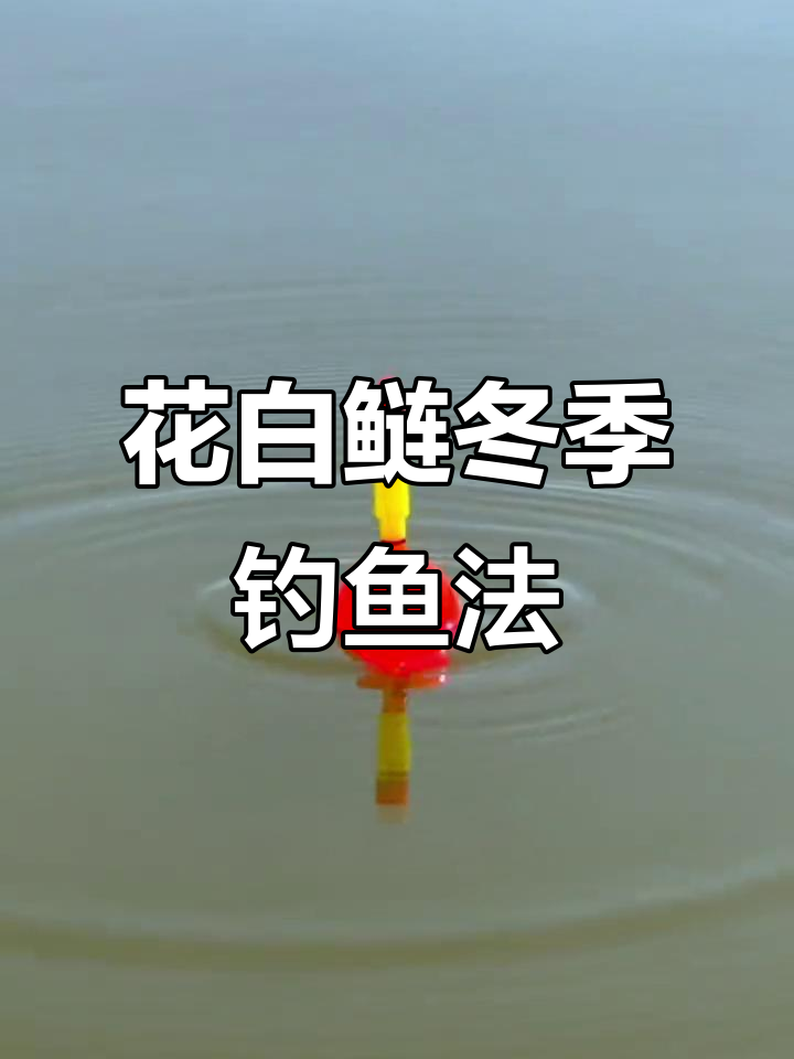 夏季钓花鲢白鲢技巧(夏季钓花鲢白鲢技巧图解)
