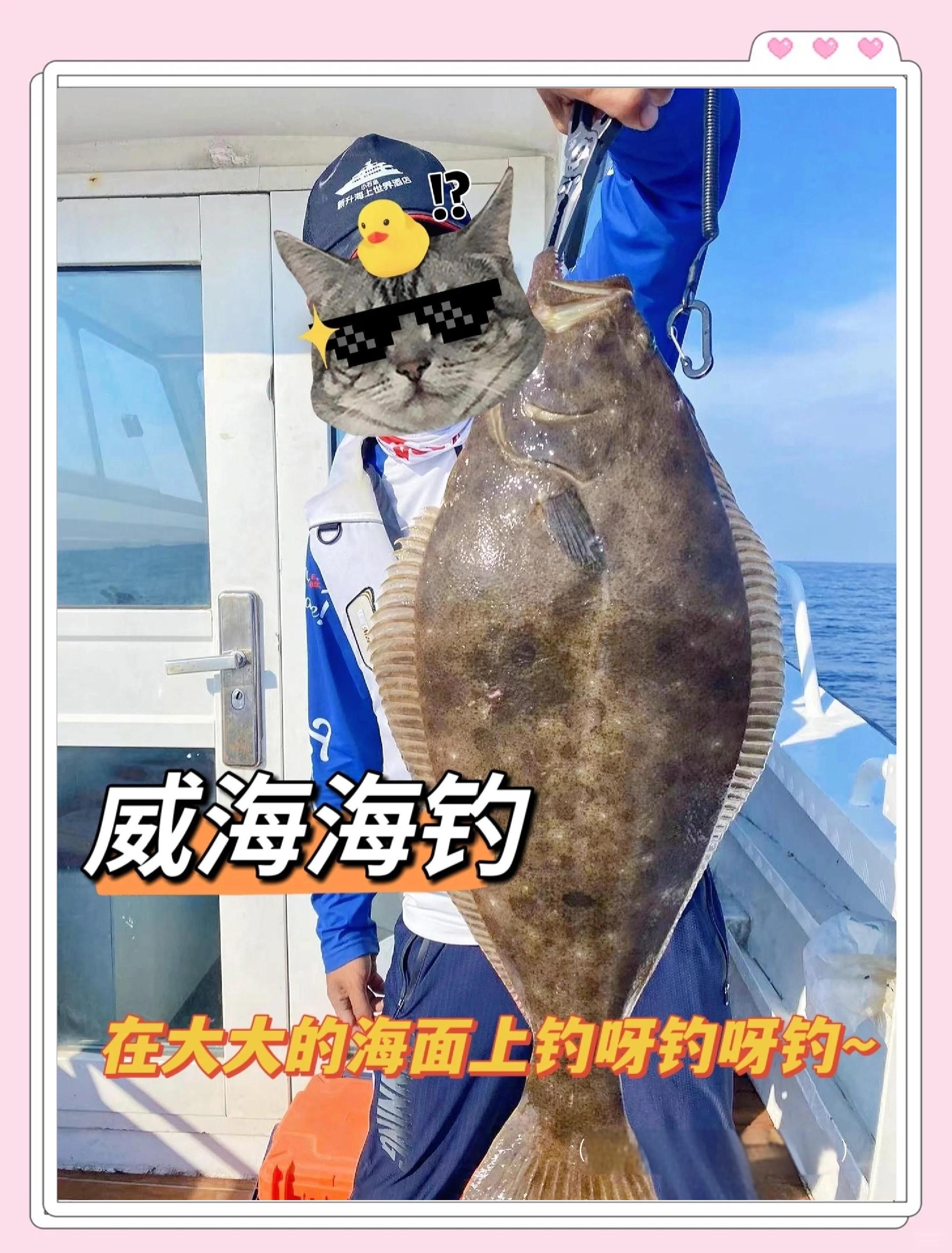威海钓亩(威海钓鱼网,威海钓鱼论坛,威海钓友俱乐部)
