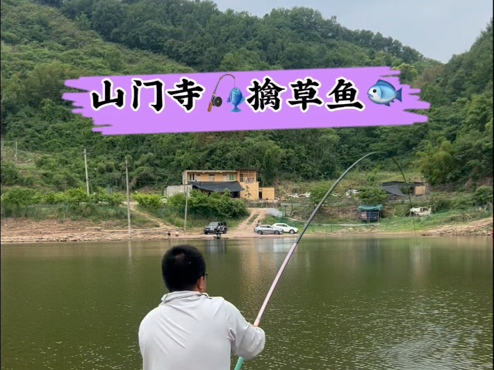 水库钓青鱼技巧(水库钓青鱼技巧和方法)