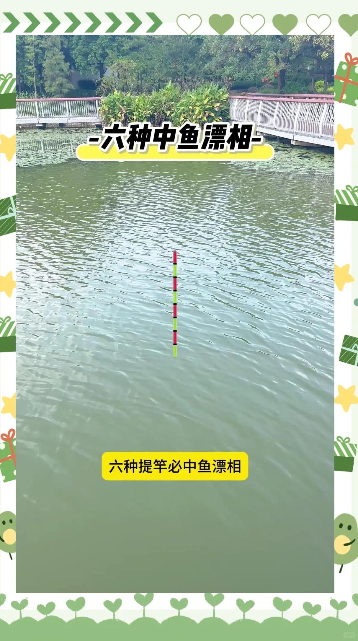钓鱼方法起竿技巧(钓鱼怎么起竿不伤线)