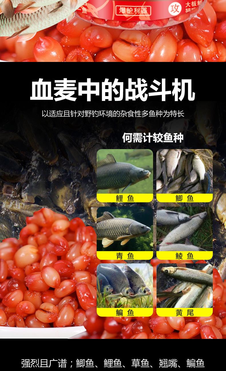 麦香诱钓鲤鱼饵料配方(麦香诱钓鲤鱼饵料配方视频)