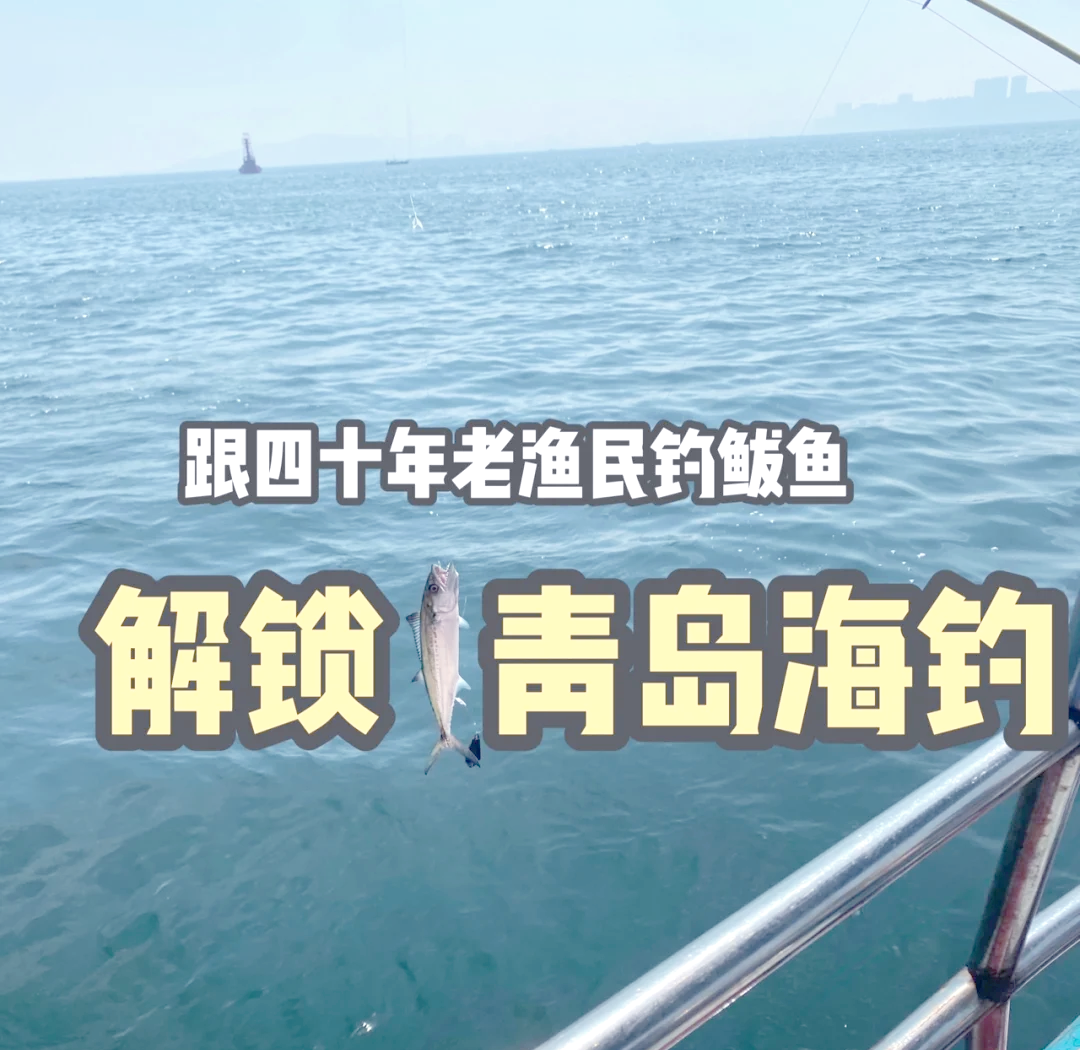 青岛深海钓(青岛海钓位置)