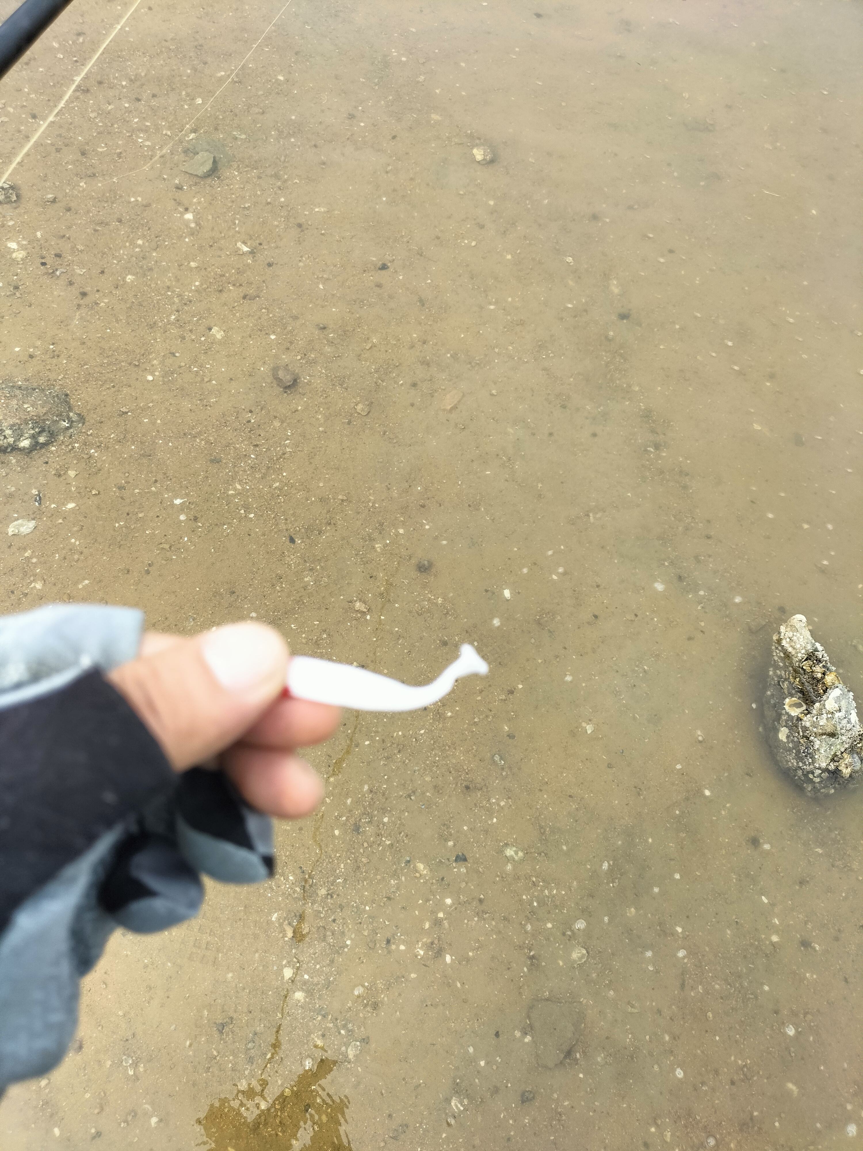 海钓淡水商品饵(淡水饵料可以钓海鱼吗)