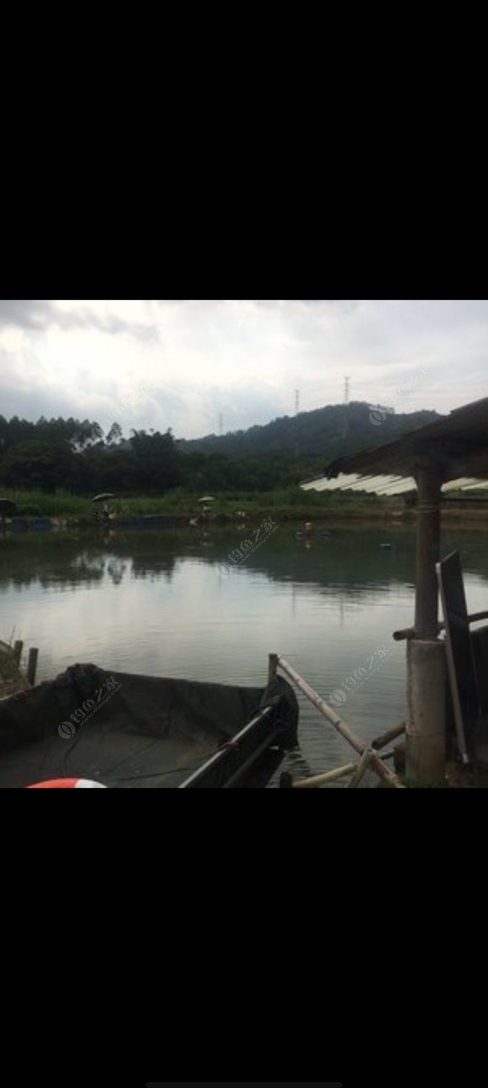 天津静海钓鱼场(天津静海钓场视频)
