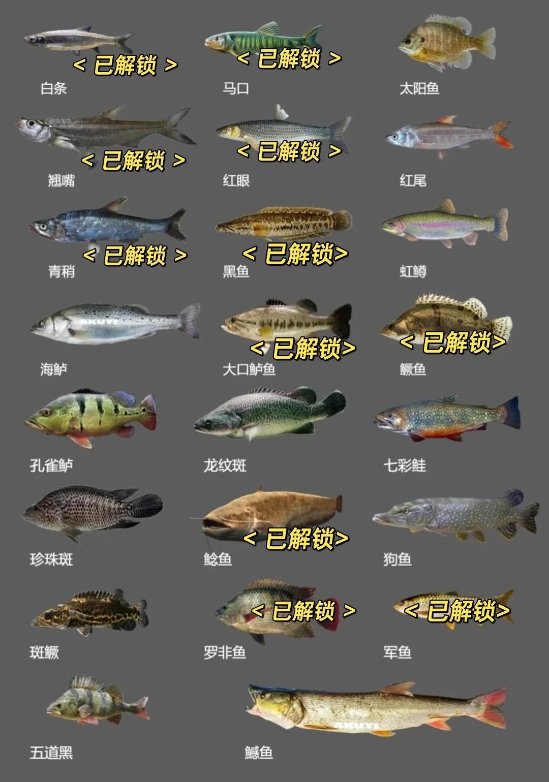 路亚淡水诱排行(路亚淡水鱼种大全)