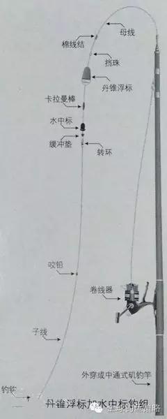 海钓浮标如何绑(海钓浮标如何绑线视频)