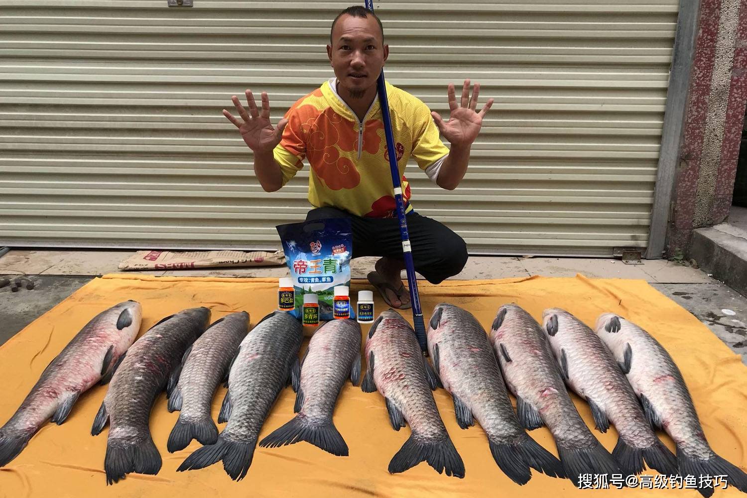 春季手竿钓青鱼技巧(春季手竿钓青鱼技巧视频)