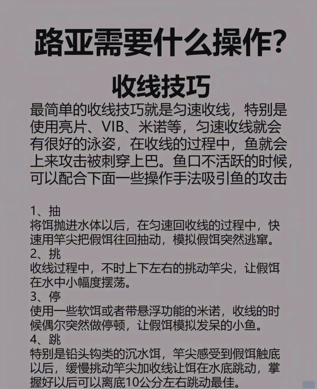 路亚技巧教学视频教程(路亚教学 视频教程 新手)